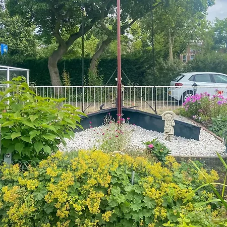 Amazing Ship In With Wifi Tekne 3*